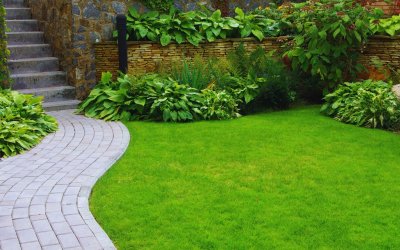 Descubre nuestro servicio de mantenimiento de jardines